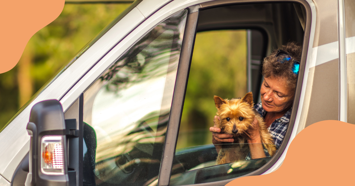 camper e animali come viaggiare sereni